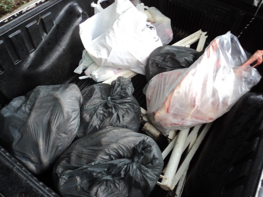 Fiscalização fecha o cerco contra o abate clandestino